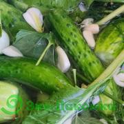 Огурцы малосольные от семьи Морозовых