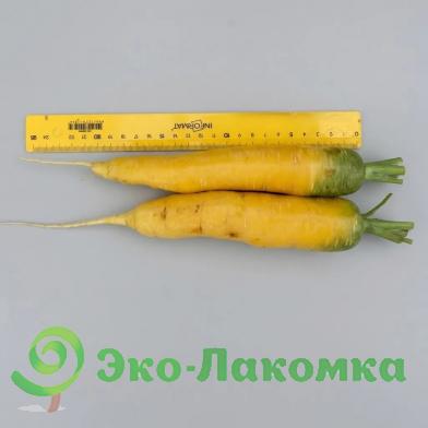 Морковь желтая от Колхоз номер 1