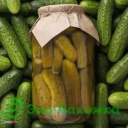 Огурцы маринованные органические