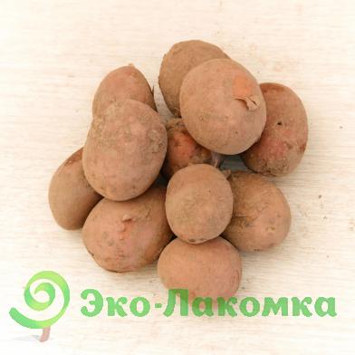 Картофель беби Рубин органический Васильки 