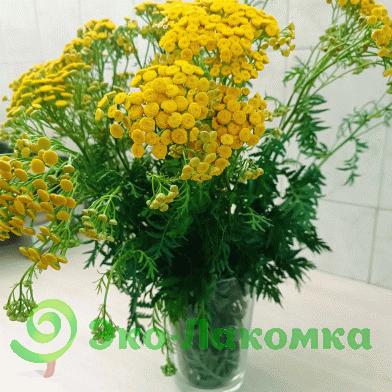 Пижма - букет Васильки