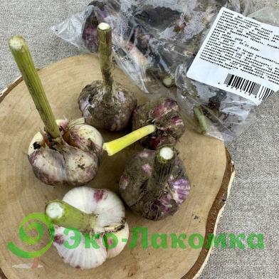 Чеснок органический Васильки