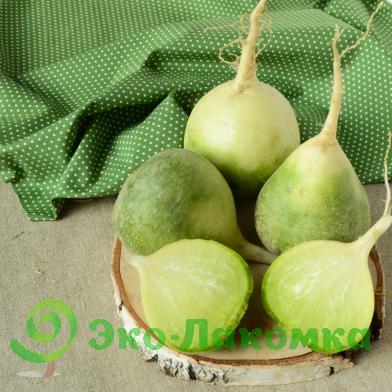 Редька зеленая Маргеланская кубанская