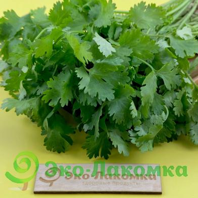 Кинза органическая  Долгиниха
