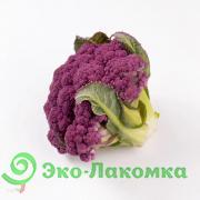 Капуста цветная фиолетовая от Колхоз номер 1