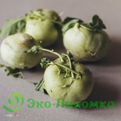Капуста кольраби зеленая от семьи Морозовых