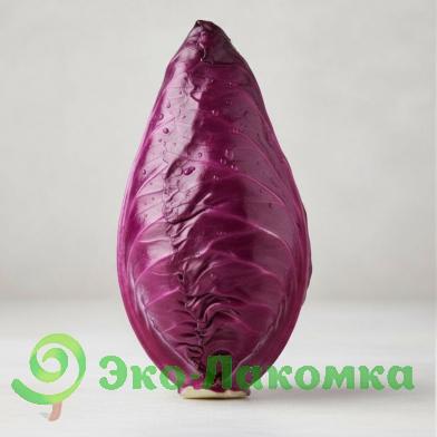 Капуста конусная краснокочанная от Колхоз номер 1