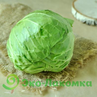 Капуста молодая салатная от семьи Морозовых