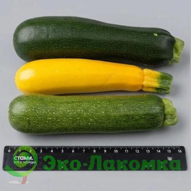 Кабачки-цукини мини от Колхоз номер 1