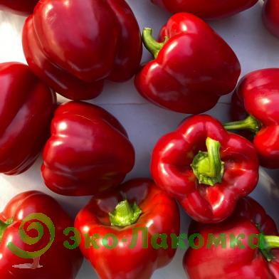 Перец органический красный от Юлии Сафроновой