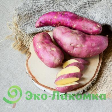 Батат Японский
