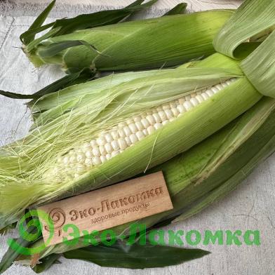 Кукуруза сахарная от семьи Морозовых