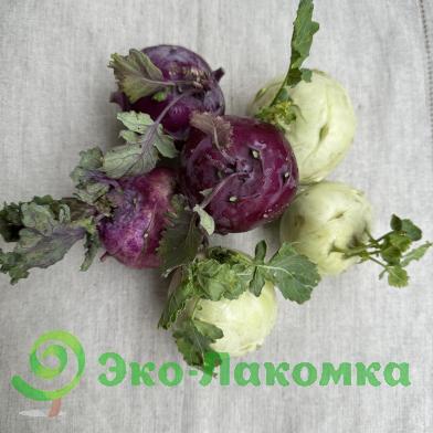 Капуста кольраби микс от Колхоз номер 1