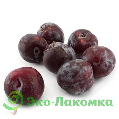 Слива органическая ферма М2