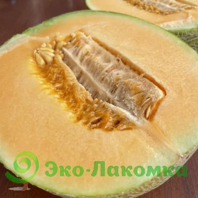 Дыня Канталупа от Владимира Кременицкого