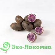 Картофель беби фиолетовый  от Колхоз номер 1