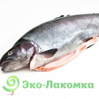 Форель ладожская охлажденная потрошеная с головой от Владимира Потапова