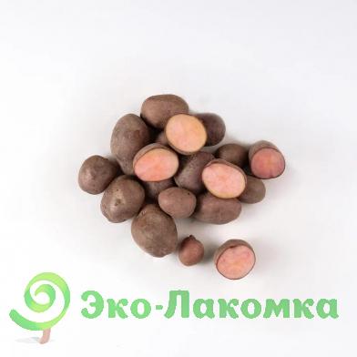 Картофель беби розовый  от Колхоз номер 1