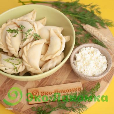 Вареники с творогом и зеленью соленые от Светланы Нестеровой