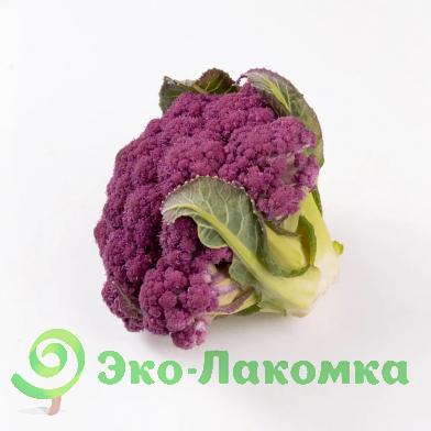 Капуста цветная фиолетовая от Колхоз номер 1