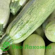 Кабачки крупные от семьи Морозовых