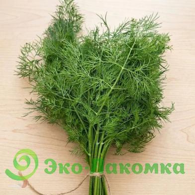 Укроп от Колхоз номер 1