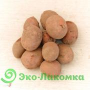 Картофель беби Рубин органический Васильки 
