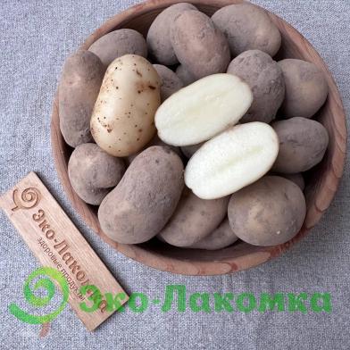 Картофель беби органический белый от Ильи Белугина