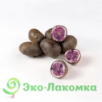 Картофель беби фиолетовый  от Колхоз номер 1