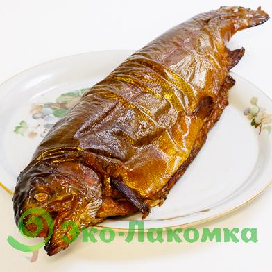 Форель радужная горячего копчения
