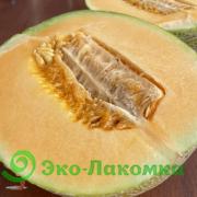 Дыня Канталупа от Владимира Кременицкого