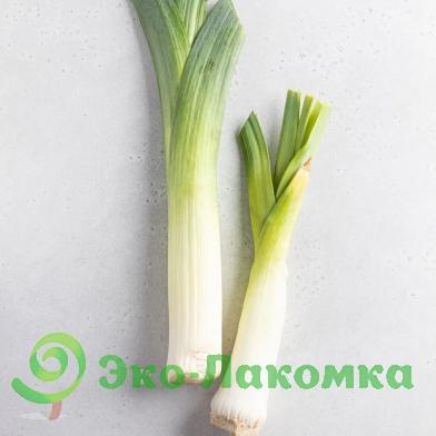 Лук-порей от семьи Морозовых
