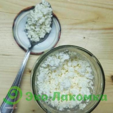 Творог 18% из коровьего молока от Марии Григорьевой