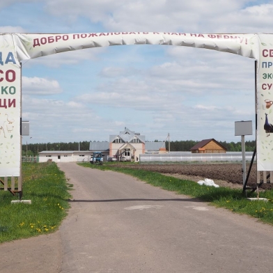 Фермерское хозяйство "Благословение"